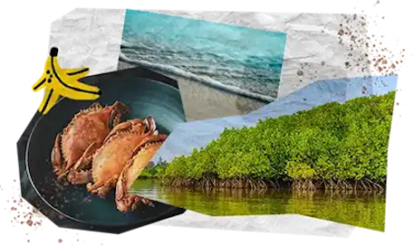 10 Tappe Viaggio DESKTOP Kenya
